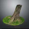 Plant Scene With Tree Stump Small Plants Green Grass Exposed Roots And Trunk Texture