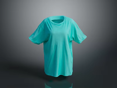Light Blue Short Sleeve T Shirt Casual Daily Wear Simple Design 3d model