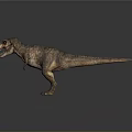 Realistic Tyrannosaurus Rex Dinosaur With Open Mouth Sharp Teeth And Detailed Skin Texture