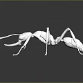 Detailed White Ant Model Displayed on Black Background with Clear Reflection 3d model