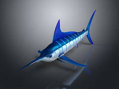 Blue Sailfish With Striped Body Long Bill And Dorsal Fin On Dark Background With Reflection 3d model
