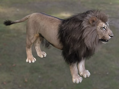 Majestic Reptile Crocodile Lying On Riverbank In Natural Wild Habitat 3d model