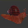 Reptile Snail With Red Striped Shell And Brown Cracked Textured Body On Dark Background