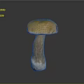 Mushroom Organ Structure With Hairy Stem Yellow Cap And White Base