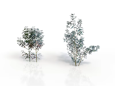 Two Green Plant Organs With Hairy Leaves On White Background Reflection 3d model