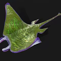 Colorful Aquatic Animal Manta Ray With Green Purple Body And Unique Patterns