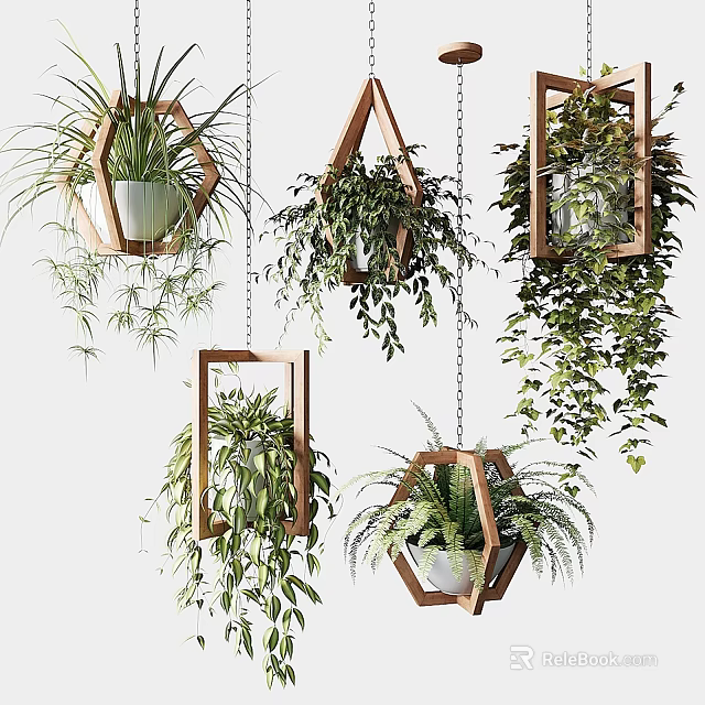 Bonsai Potted Plants Hanging in Wooden Geometric Frames with Lush Green Foliage 3d model 