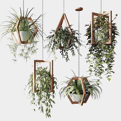Bonsai Potted Plants Hanging in Wooden Geometric Frames with Lush Green Foliage 3d model