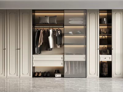 Modern Luxury Wardrobe Interior Design With Hanging Rods Drawers Glass Doors And Lighting 3d model