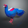 Colorful Flying Animal With Red Head Blue Body Feathers White Patches And Red Legs