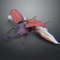 Close Up Of Beetle With Red Wings And Horned Head On Dark Surface