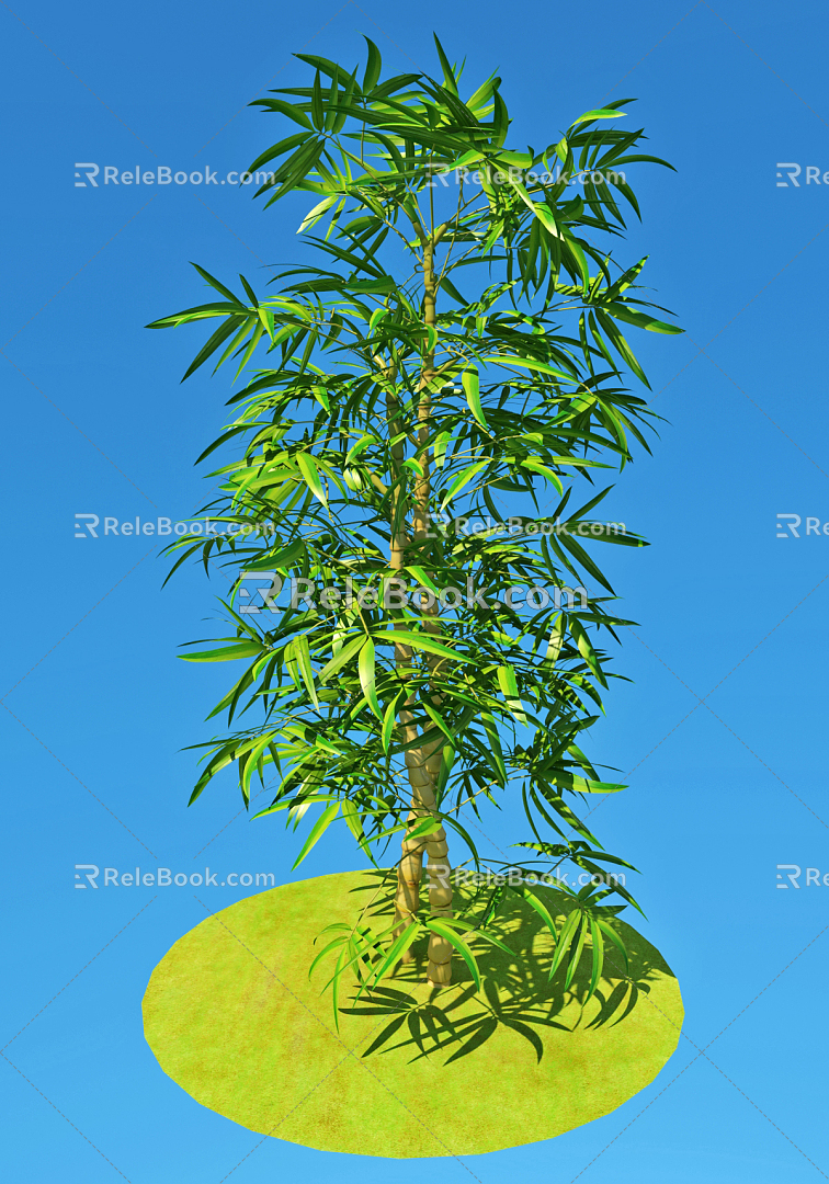 Modern bamboo green silk golden bamboo 3d model