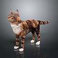 Standing Tabby And White Cat With Yellow Eyes On Smooth Gray Surface
