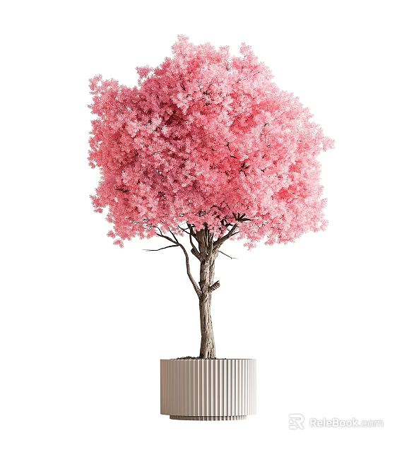 Pink Cherry Blossom Bonsai Plant With Lush Canopy And Slender Trunk In Decorative Pot 3d model 