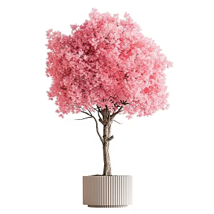 Indoor plants landscape green plant pink tree potted plant 3d model