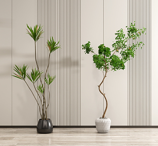 modern potted plant potted plant 3d model