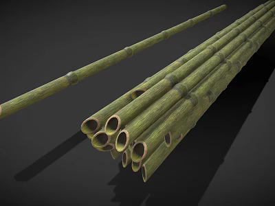 Green Bamboo Poles With Nodes Textured Surface And Holes In Natural Condition 3d model