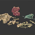 Ancient Fossilized Bone Fragments And Skeletal Structures On White 3d model