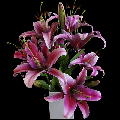 Pink and Purple Lilies in White Vase Against Black Background with Fresh Blooms 3d model