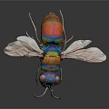 Detailed Vibrant Rainbow Colored Insect With Transparent Wings On Dark Background