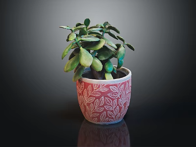 Potted Green Plant With Lush Leaves In Red Pot With White Patterns On Dark Table 3d model