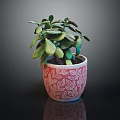 Potted Green Plant With Lush Leaves In Red Pot With White Patterns On Dark Table