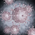 Innovative Medical Devices Supporting Viral Particle Research And Detection Processes