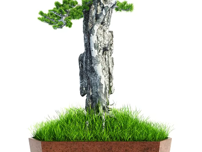 Garden Ornament Potted Plant Featuring Textured Tree Trunk Green Foliage and Grass 3d model