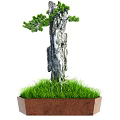 Garden Ornament Potted Plant Featuring Textured Tree Trunk Green Foliage and Grass