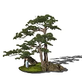 Bonsai Pine Tree with Small Figure on Rock and Green Grass Decor 3d model