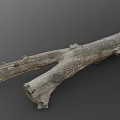 Natural Wooden Stone Log With Rustic Texture And Mossy Surface Details