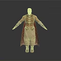 Man With Gray Hair In Ornate Medieval Style Outfit Cloak Wrist Guards And Boots
