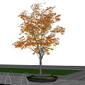 Tall Arbor With Orange Yellow Leaves In Circular Flower Bed And Blue Sky Background
