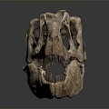 Ancient Dinosaur Skull Fossil With Intricate Bone Structure And Sharp Teeth