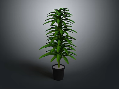 Green Leafy Plant with Lush Long Leaves in Black Pot against Gray Background 3d model