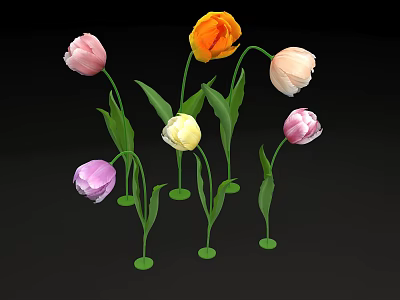Blooming Multicolored Tulips with Green Stems and Leaves on Black Background 3d model