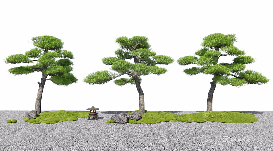 Japanese Pine Trees in Traditional Garden Setting with Green Grass Stones and Mini Pavilion 3d model 