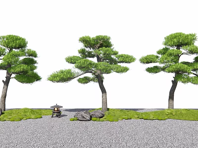 Japanese Pine Trees in Traditional Garden Setting with Green Grass Stones and Mini Pavilion 3d model