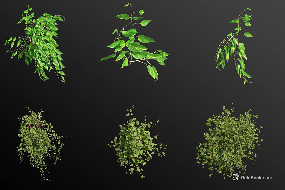 Lush Hanging Green Plants With Various Leafy Trailing Foliage 3d model