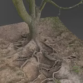 Old Tree With Exposed Roots Growing In Soil And Small Grass Around Trunk