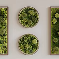 Green Plant Wall Art With Framed Circular And Rectangular Decorative Designs For Home Interior