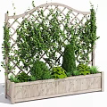 Climbing Vines On Lattice Trellis With Wooden Planter And Green Shrubs