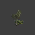 Lush Green Shrubs With Tropical Palm Trees And Diverse Foliage