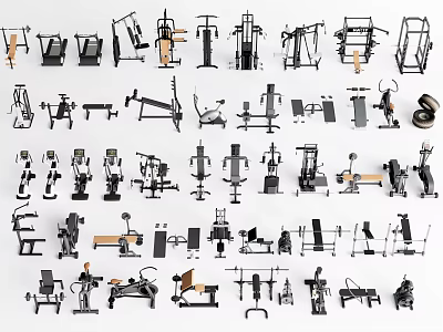 Comprehensive Collection of Fitness Equipment Featuring Weight Machines Exercise Benches And Dumbbells 3d model