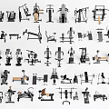 Comprehensive Collection of Fitness Equipment Featuring Weight Machines Exercise Benches And Dumbbells