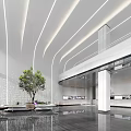 Modern Hotel Lobby With Curved Ceiling White Columns Large Green Plant And Reflective Floor
