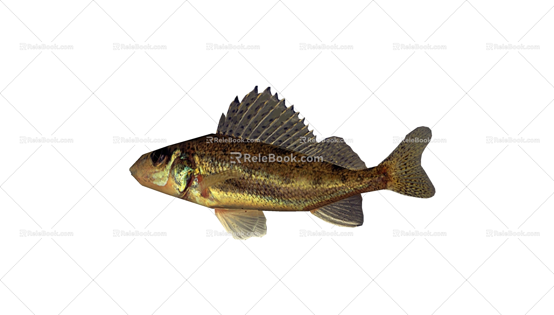 Fish 3d model