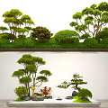 Artistic Plant Combination With Bonsai Trees Green Shrubs And Stone Elements 3d model