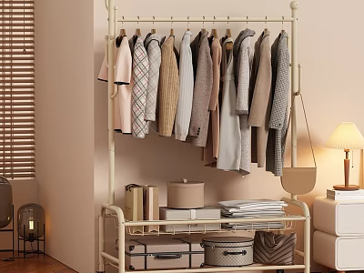Modern Clothes Rack With Hanging Clothes And Storage Shelves For Boxes Folded Clothes And Books 3d model