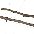 Natural Dry Wooden Branches With Rough Texture For Home Decoration Projects